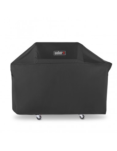 custodia-premium-weber-per-genesis-3-bruciatori-7194-1.jpg
