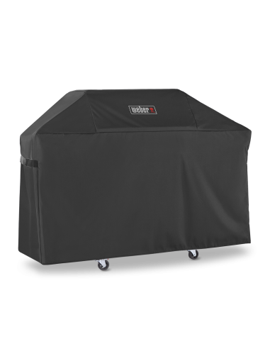 custodia-premium-weber-per-genesis-3-bruciatori-7194-2.jpg