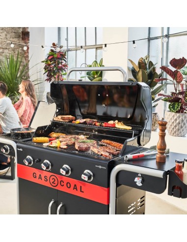 barbecue-a-gas-e-carbonella-gas2coal-20-4b-140926-5.jpg