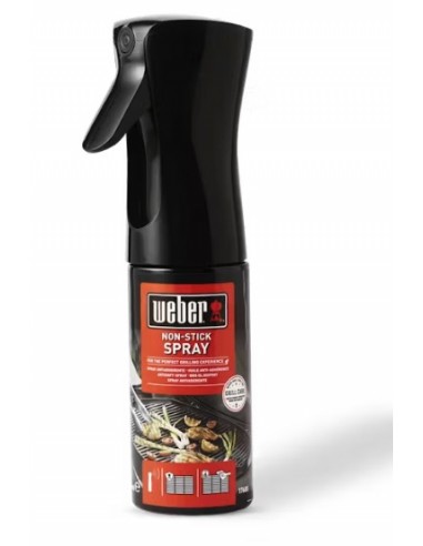 olio-spray-antiaderente-17685-1.jpg