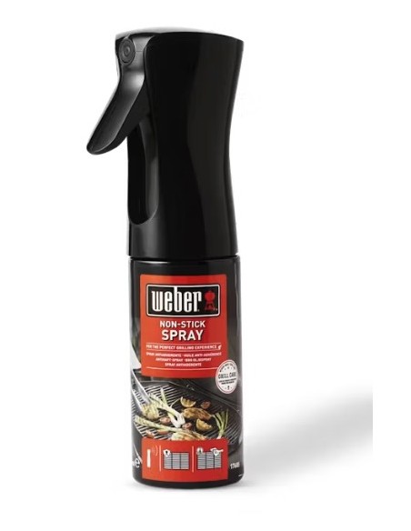 olio-spray-antiaderente-17685-1.jpg
