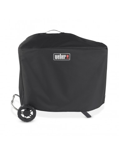 custodia-permium-per-barbecue-weber-traveler-7770-1.jpg
