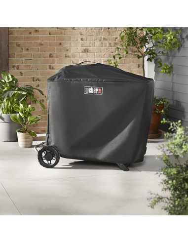 custodia-permium-per-barbecue-weber-traveler-7770-2.jpg