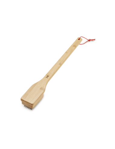 spazzola-in-legno-6276-2.jpg