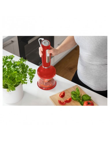 mixer-immersione-rosso-19.jpg
