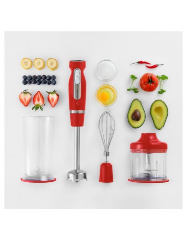 mixer-immersione-rosso-22.jpg