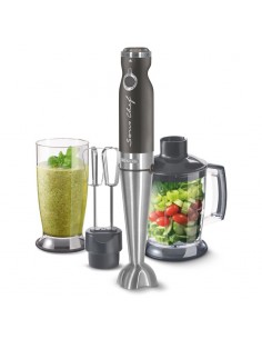 mixer-immersione-grigio-metalizzato-1.jpg 2