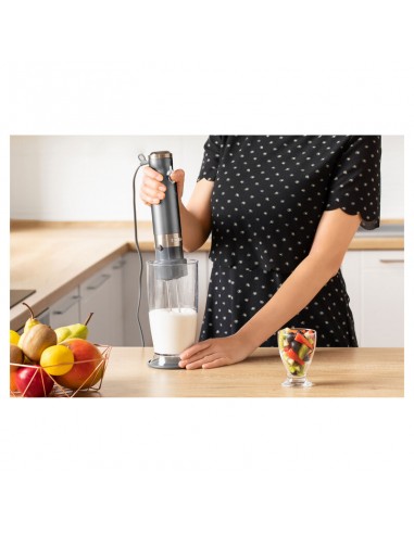mixer-immersione-grigio-metalizzato-18.jpg