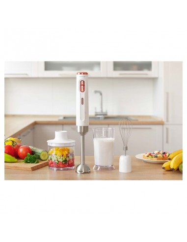 frullatore-a-immersione-batteria-wh-15.jpg