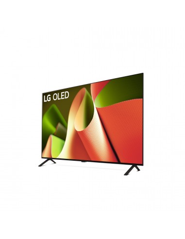 lg-oled-77-b46-uhd-new-2024-77-processore-a8-dolby-vision-dolby-atmos-16.jpg