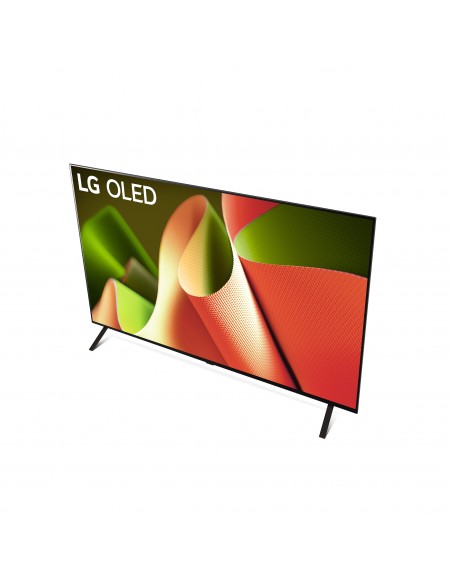 lg-oled-77-b46-uhd-new-2024-77-processore-a8-dolby-vision-dolby-atmos-19.jpg