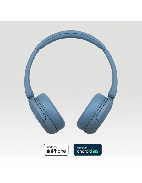 wh-ch520-cuffie-hear-blu-2.jpg