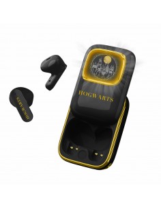 harry-potter-hogwarts-slide-tws-ear-1.jpg