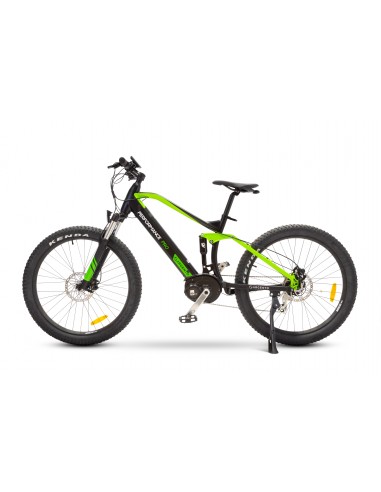 argento-e-bike-performance-pro-1.jpg