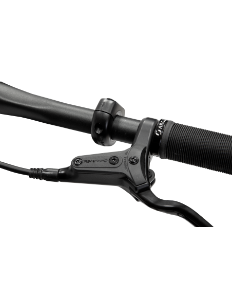 argento-e-bike-performance-pro-9.jpg