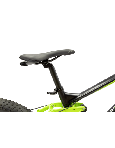 argento-e-bike-performance-pro-12.jpg