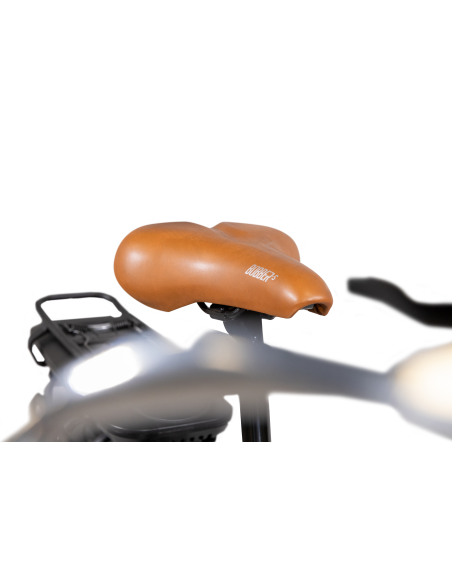 argento-e-bike-performance-pro-15.jpg