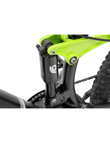 argento-e-bike-performance-pro-18.jpg