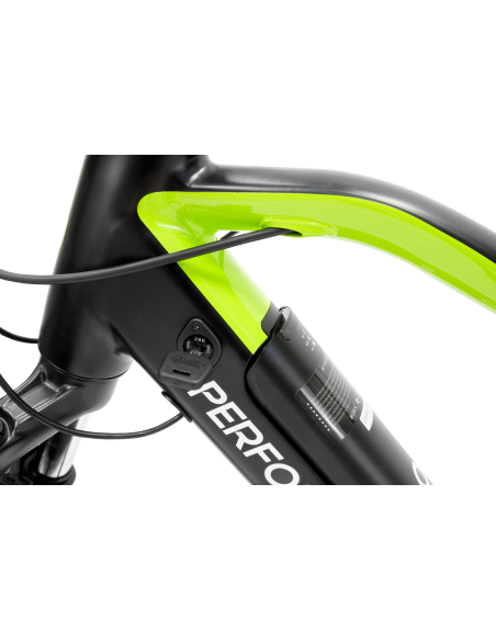 argento-e-bike-performance-pro-19.jpg