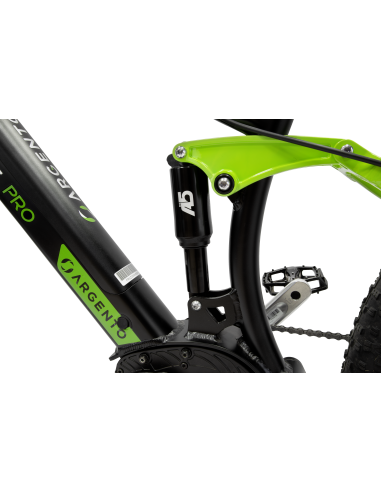 argento-e-bike-performance-pro-20.jpg