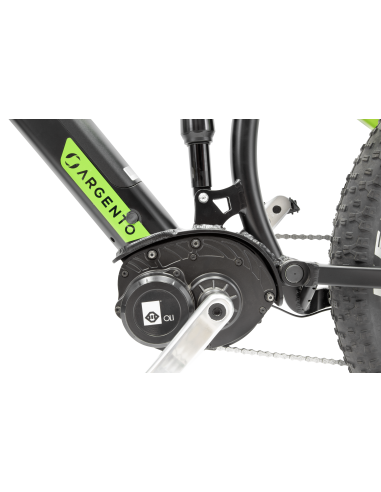 argento-e-bike-performance-pro-21.jpg