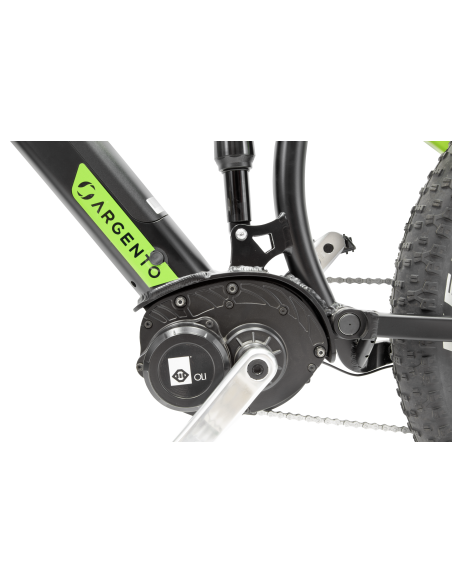 argento-e-bike-performance-pro-21.jpg