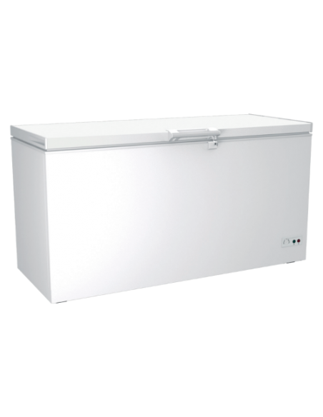 SCHAUB-LORENZ SSCO640 Congelatore a pozzo  | bricocenter.lol