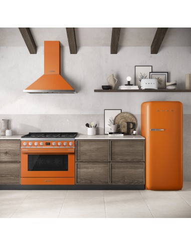 frigo-dx-or-10.jpg