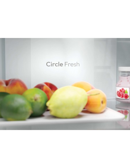 candy-frigo-combinato-cncq2t618cx-12.jpg