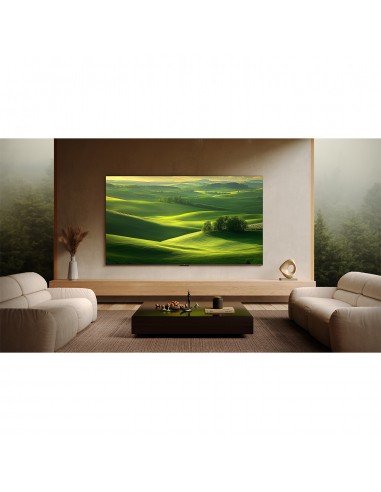 tcl-lcd-55-55c79k-mini-led-uhd-google-tv55-144-hz-local-dimming-miniled-bo-5.jpg