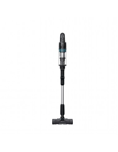 hf1pz10px-011-4.jpg