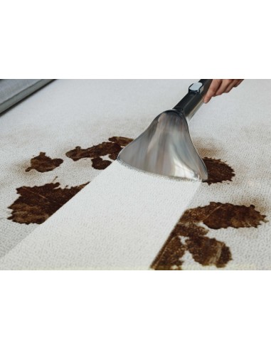spot-cleaner-hs530-011-3.jpg