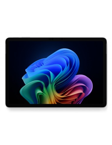 pro12in-c8-16-512-plat-1.jpg