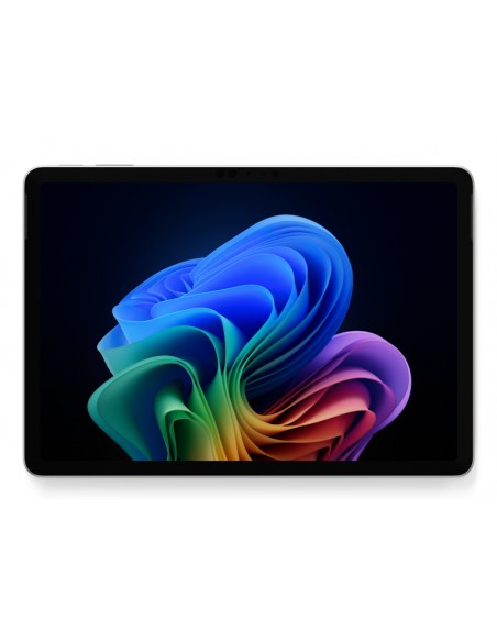 pro12in-c8-16-512-plat-1.jpg