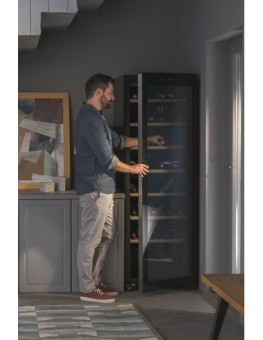 ws171ga-frigo-cantina-171bt-a-5.jpg