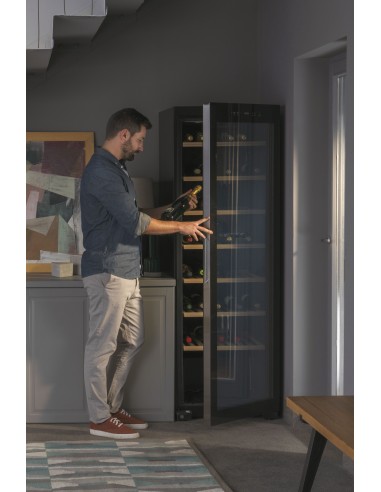 ws171ga-frigo-cantina-171bt-a-6.jpg