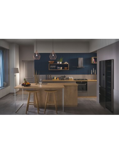 ws171ga-frigo-cantina-171bt-a-8.jpg