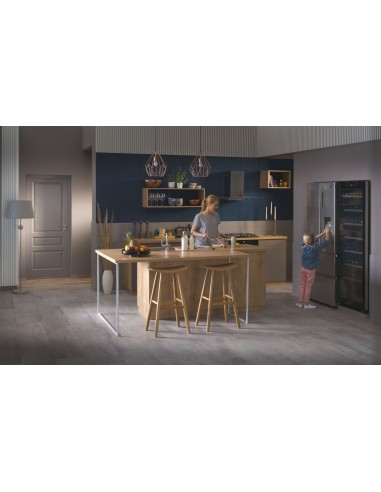 ws171ga-frigo-cantina-171bt-a-12.jpg