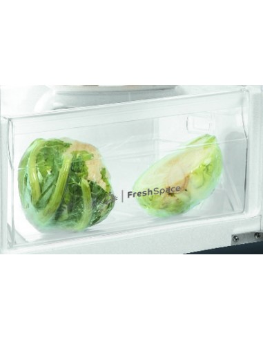 frigo-inc-1p-189lt-h122-cella-traino-2.jpg