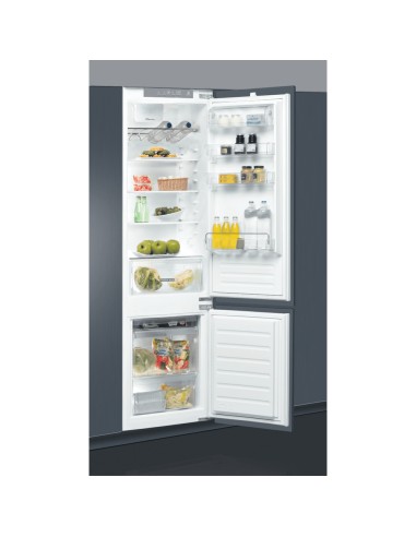 frigo-inc-combi-320lt-h193-vent-sf-a-everest-1.jpg