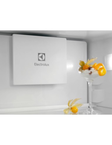 fr-electrolux-knt6md18s3-19.jpg