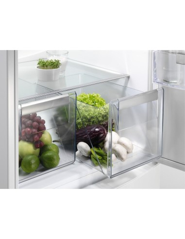 ent6te18s-frigo-inc-combi-254lt-h177-e-nf-6.jpg