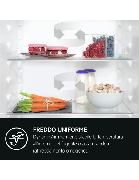 frigo-inc-combi-256lt-h178-nf-traino-2.jpg