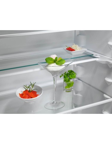 frigo-inc-combi-256lt-h178-nf-traino-6.jpg
