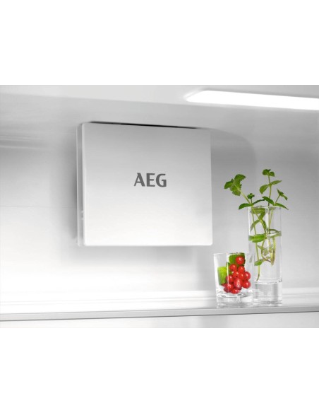 frigo-inc-combi-256lt-h178-nf-traino-10.jpg