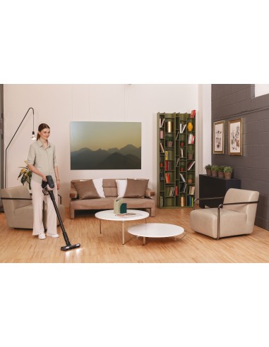 hoover-hf401h-011-16.jpg
