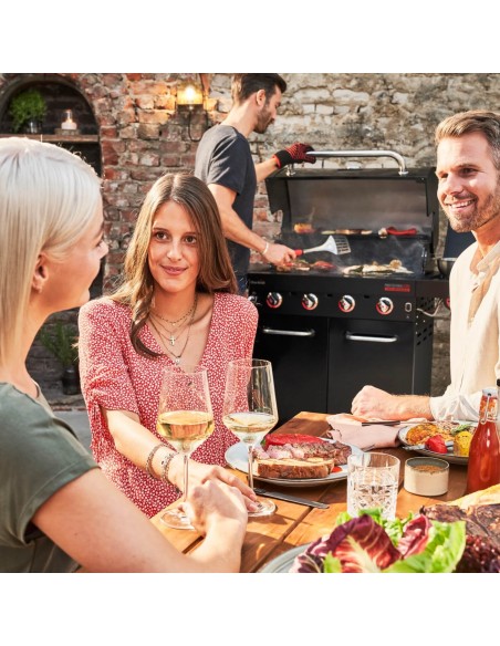 barbecue-professional-core-b4-gas-4f1-7.jpg