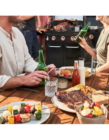 barbecue-professional-core-b3-gas-3f1-5.jpg