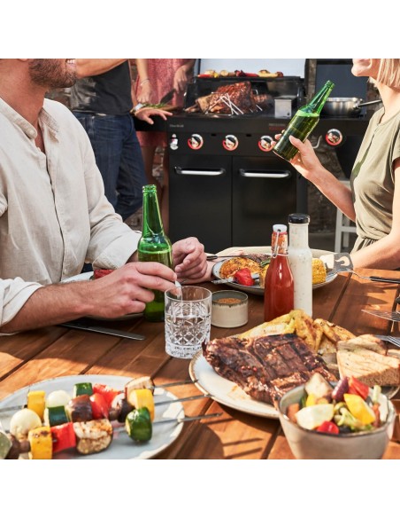 barbecue-professional-core-b3-gas-3f1-5.jpg