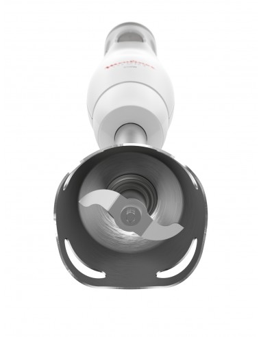 frull-imm-easychef-2in1-450w-2sp-wht-dd4521-2.jpg